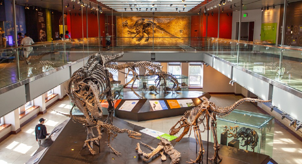 History Museum Project