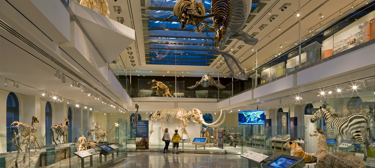 History Museum Project History Museum Project