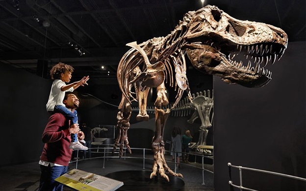 History Museum Project History Museum Project